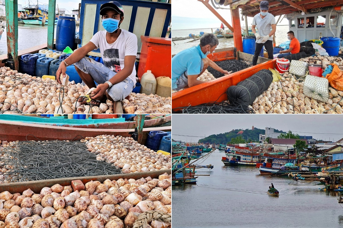 mất cắp